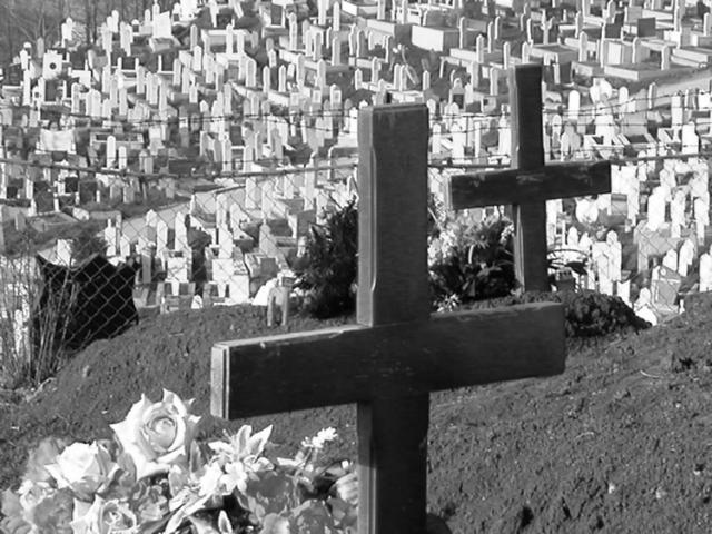 Bosnia - Cimitero misto